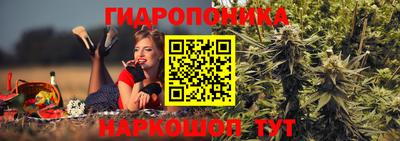 мяу мяу мука Ставрополь