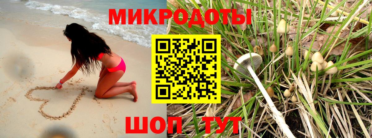 Отрадный  Галлюциногенные грибы Psilocybine cubensis  Вход с VPN  Псилоцибиновые грибы GOLDEN TEACHER 