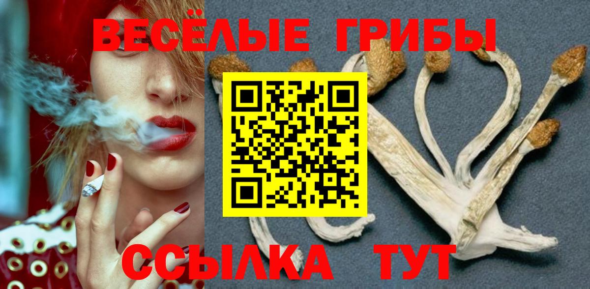 Псилоцибиновые грибы мицелий Отрадный
